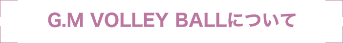 子供バレーボール教室G.M VOLLEY BALLについて
